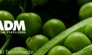 Admtarim.com thumbnail