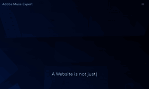 Adobemuseexpert.com thumbnail