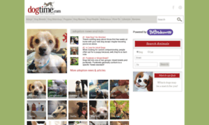 Adopt.dogtime.com thumbnail