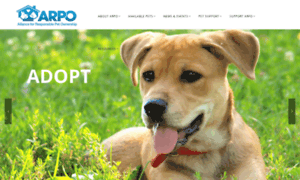 Adoptarpo.org thumbnail