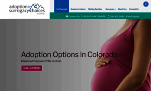 Adoptionchoices.org thumbnail