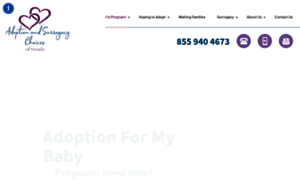 Adoptionchoicesofnevada.org thumbnail