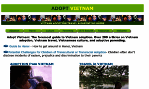 Adoptvietnam.org thumbnail