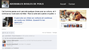 Adorables-boules-de-poil.com thumbnail