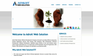 Adroitwebsolution.com thumbnail