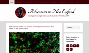 Adventuresinnewengland.com thumbnail