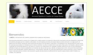 Aecce.org thumbnail