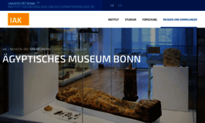Aegyptisches-museum.uni-bonn.de thumbnail