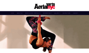 Aerialartsnyc.com thumbnail