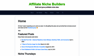 Affiliatenichebuilders.com thumbnail