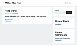 Affiliateninjamom.com thumbnail