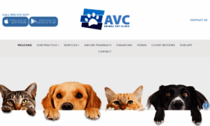 Affordable-vet-clinic.com thumbnail