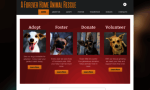 Aforeverhomeanimalrescue.org thumbnail