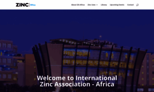 Africa.zinc.org thumbnail