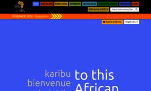 Africaevidencenetwork.org thumbnail