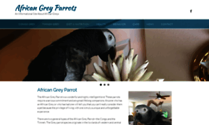 African-grey-parrot.com thumbnail