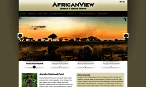 African-view.com thumbnail