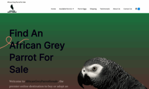 Africangreyparrotforsale.com thumbnail