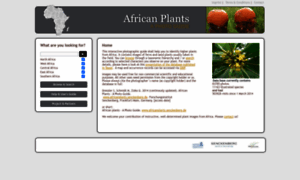 Africanplants.senckenberg.de thumbnail
