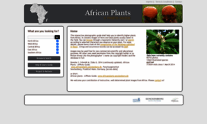 Africanplants.senckenberg.de thumbnail