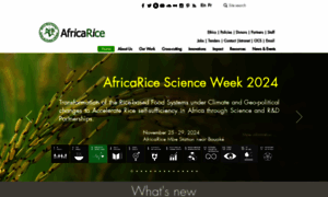 Africarice.org thumbnail