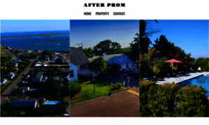 Afterpromhamptons.com thumbnail