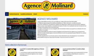 Agence-molinard-commerces-guadeloupe.octissimo.com thumbnail