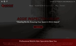 Aggieinspectorgroup.com thumbnail