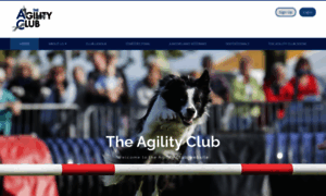 Agilityclub.org thumbnail