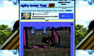 Agilitydreamteam.forumactif.com thumbnail