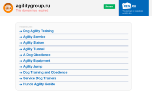 Agilitygroup.ru thumbnail