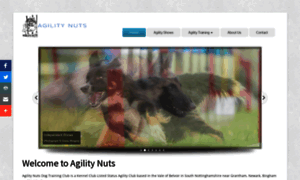 Agilitynuts.co.uk thumbnail