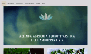 Agricola-fllitamburrino.com thumbnail