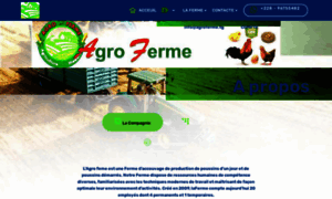 Agroferme.tg thumbnail
