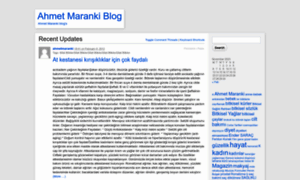 Ahmetmaranki.wordpress.com thumbnail