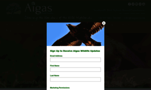 Aigas.co.uk thumbnail