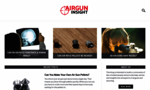 Airguninsight.com thumbnail
