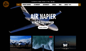 Airnapier.co.nz thumbnail