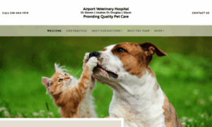 Airportvethospital.com thumbnail