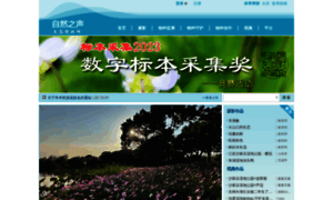 Aitp.com.cn thumbnail