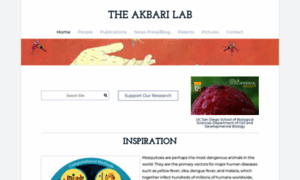 Akbarilab.com thumbnail