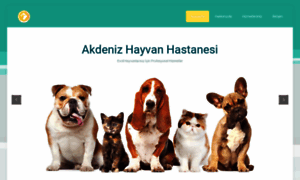 Akdenizhayvanhastanesi.com thumbnail