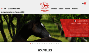 Akhal-teke.fr thumbnail