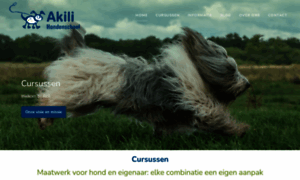 Akili.nl thumbnail