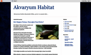 Akvaryumhabitat.blogspot.com thumbnail