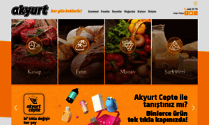 Akyurt.com.tr thumbnail