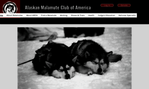 Alaskanmalamute.org thumbnail