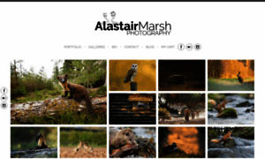 Alastairmarshphotography.co.uk thumbnail