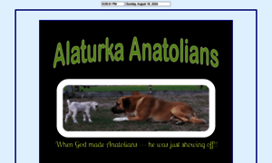 Alaturka.org thumbnail