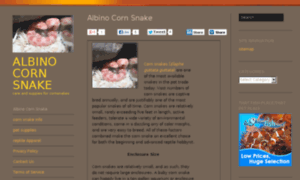 Albino-corn-snake.com thumbnail